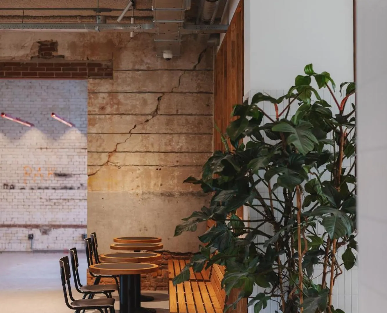 Man Met Bril Koffie Hotel Rotterdam